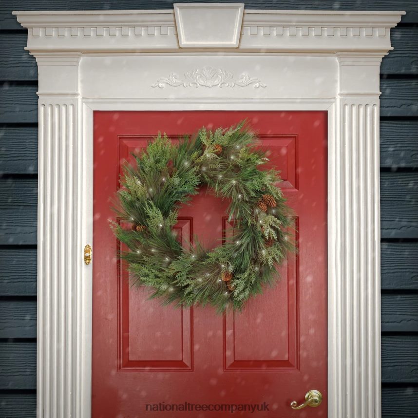 Greenery | National Tree Company 28\ HGTV Home Collection Pre-Lit Black Tie Cedar Wreath F2L4F249